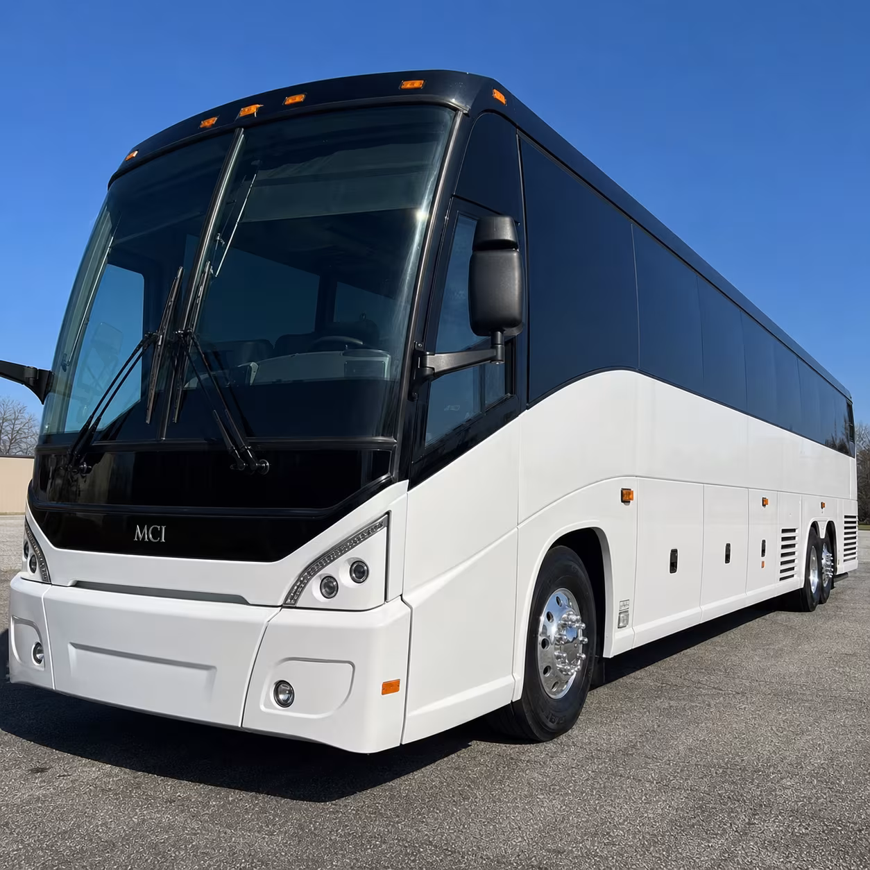 palm coast holiday party bus rental
